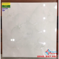 Gạch lát nền bóng kiếng 60x60 hoa 5D