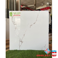Tổng kho gạch men 80x80 bóng kiếng hoàn mỹ