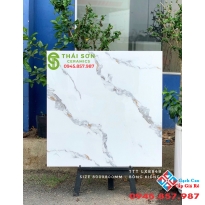 Gạch bóng kiếng lót sàn 80x80 cmc cao cấp tại Tân Phú