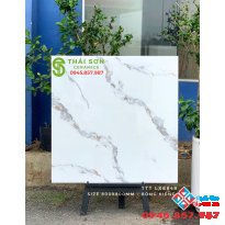 Gạch bóng kiếng lót sàn 80x80 cmc cao cấp tại Tân Phú