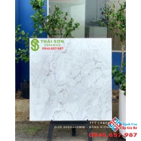 Gạch bóng kiếng cao cấp lát nền 80x80 mới nhất tại Long An