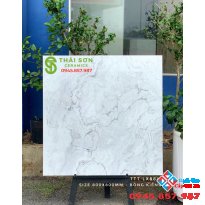 Gạch bóng kiếng cao cấp lát nền 80x80 mới nhất tại Long An