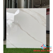 Gạch lát nền nhà đẹp 80x80