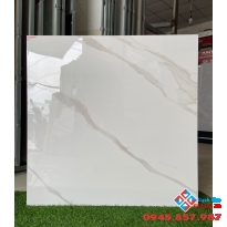 Gạch lát nền nhà đẹp 80x80