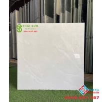 Gạch catalan xmart 80x80 lát nền màu xám bóng kiếng cao cấp