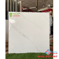 Gạch đá bóng kiếng 80x80 Tasa cao cấp