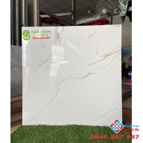 Giá gạch lát nền Tasa 80x80 bóng kiếng