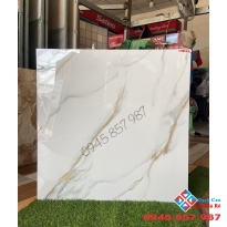 Gạch bóng kiếng cao cấp ốp lát nền 80x80