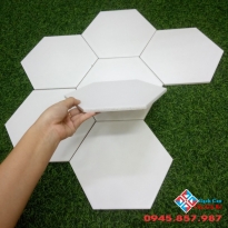 Gạch 20x30 lục giác ốp tường màu trắng