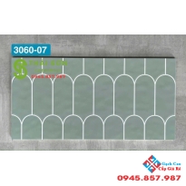 Gạch trang trí trung quốc 30x60 men bóng lông vũ 