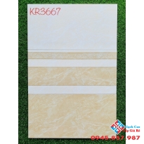 Gạch ốp tường men bóng 300x600 cao cấp tại bến tre