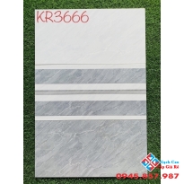 Gạch men ốp tường 30x60 cao cấp giá rẻ vĩnh long