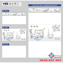 Gạch men bóng ốp tường 300x600 giá rẻ tại mỏ cày bắc