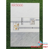 Gạch men bóng ốp tường 300x600 cao cấp tại mộc hóa