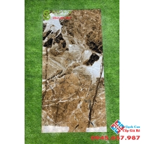 Gạch ấn độ siêu bóng 60x120 lát nền quận 1 giá rẻ