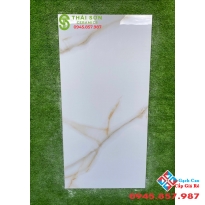 Gạch nhập khẩu ấn độ 60x120 cao cấp Q7