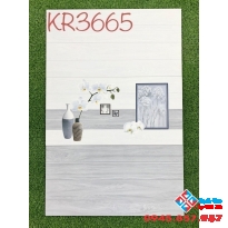 Gạch ốp tường 30x60 giá rẻ hà thanh