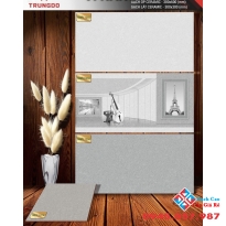 Gạch 30x60 men matt ốp phòng khách đẹp