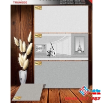 Gạch 30x60 men matt ốp phòng khách đẹp