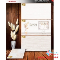 Gạch ốp tường ngang 30x60 men matt