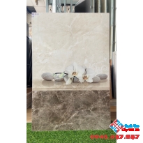 Gạch ốp tường viglacera 30x60 mới nhất