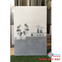 Gạch men ốp tường 30x60 nguyễn tri phương