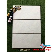Gạch trung quốc 40x80 ốp tường cao cấp