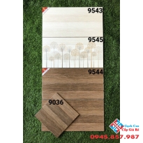 Gạch ốp tường bộ 30x60 cao cấp tại miền nam