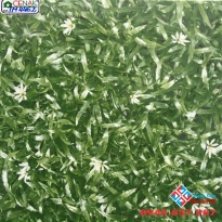 Mẫu gạch lát sân 40x40 tại hcm