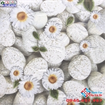 Gạch 40x40 sân vườn đẹp