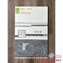 Gạch ốp tường 30x60 bóng kiếng takao giá rẻ