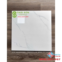 Gạch lát nền 60x60 takao bóng kiếng trắng vân mây