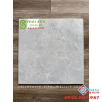 Gạch Takao bóng kiếng 60x60 lát nền nhà giá rẻ