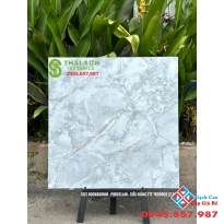 Gạch takao bóng kiếng 80x80 lát nền mới nhất