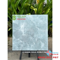 Gạch lát nền takao bóng kiếng 80x80 giá rẻ