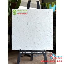 Gạch terrazzo 60x60 matt mờ cao cấp