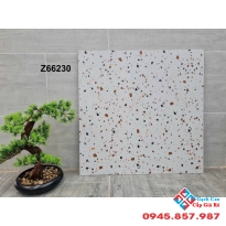 Gạch ốp lát trung quốc 60x60 terrazzo mới nhất