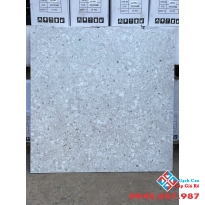 Gạch 60x60 trung quốc ốp lát terrazzo