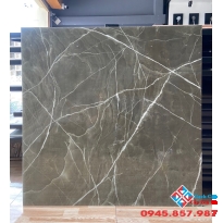 Gạch cao cấp trung quốc 100x100 mới nhất