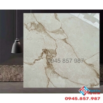 Tổng kho gạch trung quốc 120x120 nhập khẩu giá tốt