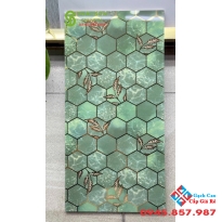Gạch màu xanh trung quốc 30x60 họa tiết hình lục giác