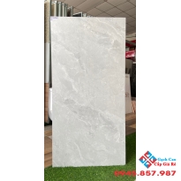 Gạch 60x120 trung quốc đá mờ