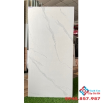 Gạch lát nền 60x120 trắng mờ nhập khẩu
