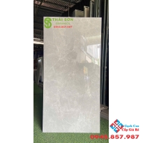 Gạch vito màu xám bóng kiếng 60x120 