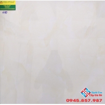 Đá bóng kiếng 60x60 lát nền Á Mỹ