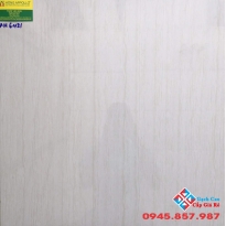 Gạch bóng kiếng lát nền 60x60 á mỹ 6421