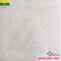 Đá bóng kiếng 60x60 vitto 782