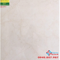 Đá bóng kiếng 60x60 vitto 773