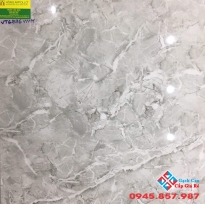 Gạch lát nền giá rẻ 60x60 tại long an 6776