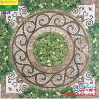 Gạch vitto 50x50 lát nền 6503